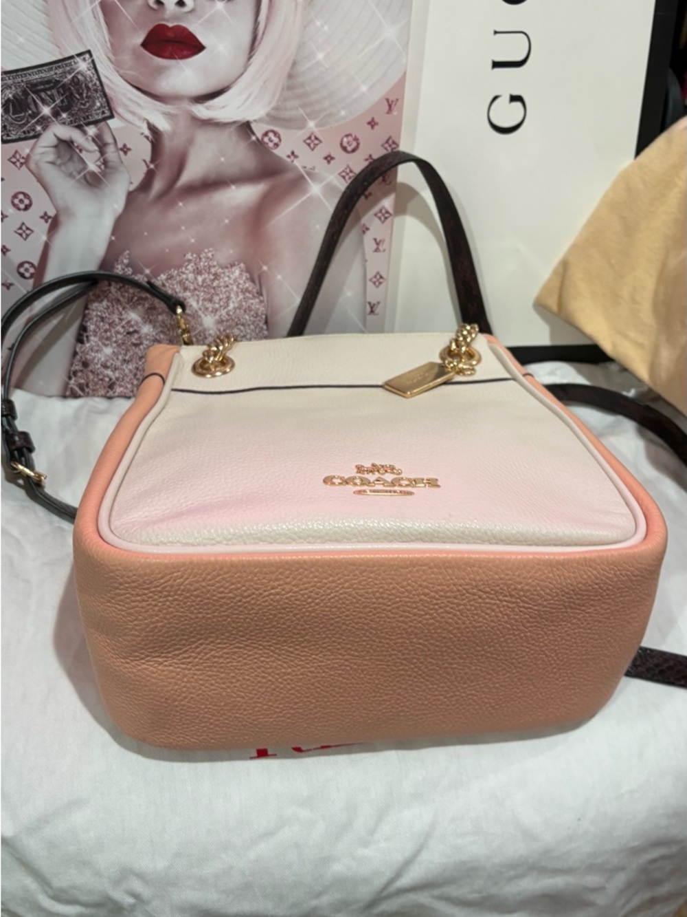 Coach Chalk and Pink Pebbled Leather Crossbody with Gold Chain Accents - Picture 5 of 9